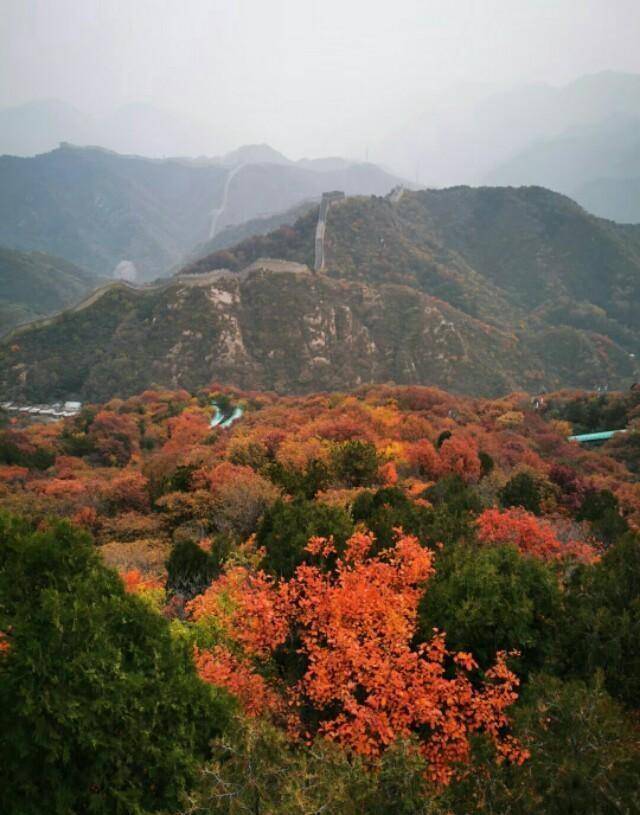 北京长城脚下的秋日风景图