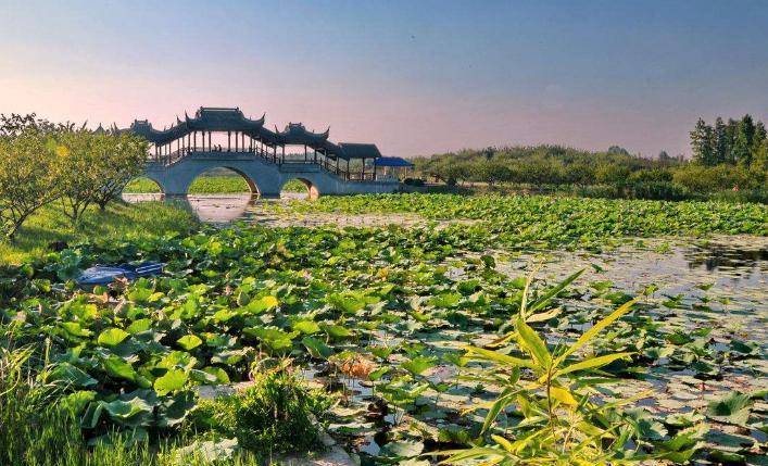 上海一距市中心60公里公园走红，被称“巨无霸”