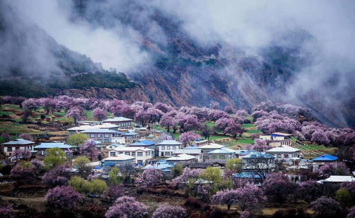 西藏林芝三日游自由行攻略-林芝必去旅游景点推荐