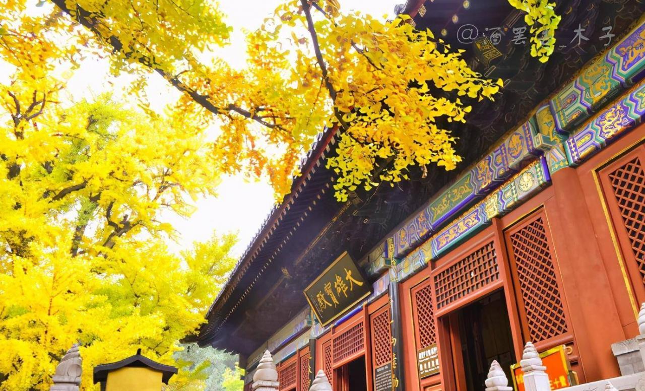 北京红螺寺景区的秋天同样惊艳，被称为净土佛国