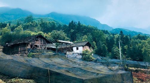 小鱼洞旅游心得，告诉你哪些景点好玩