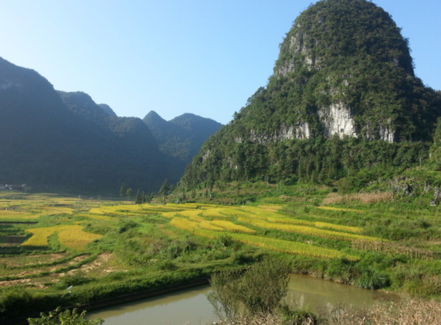 茂兰风景区游玩攻略（景区介绍+景点+购物+门票）