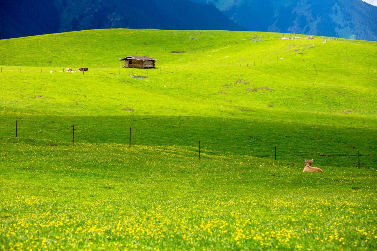 喀拉峻草原旅游攻略-喀拉峻草原最佳季节徒步注意事项