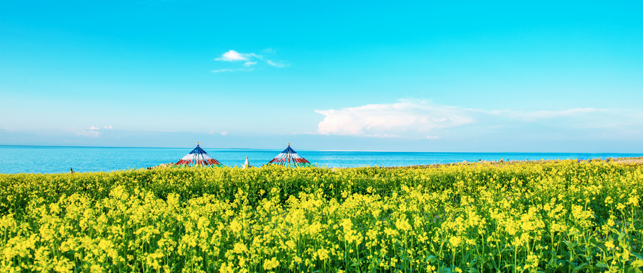 青海湖几月份去最好-青海湖最佳观赏地点-青海湖主要景点