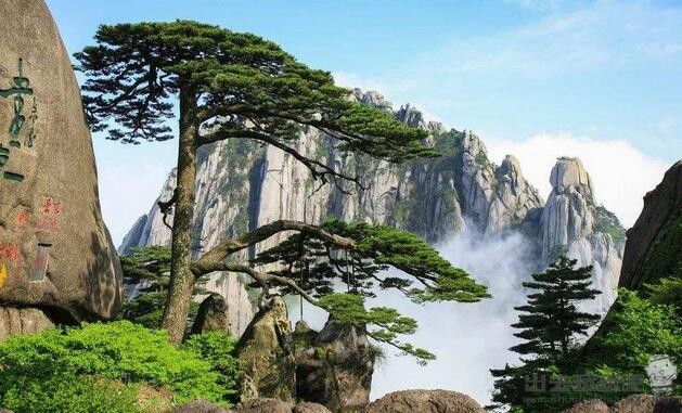 黄山一天爬完最佳路线，黄山景区门票价格旅游攻略