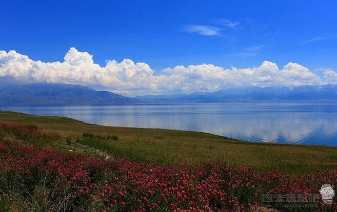 新疆旅游必打卡之赛里木湖，赛里木湖游玩小攻略