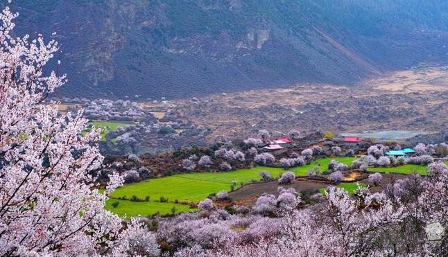 黄山景点有哪些？有什么特色？黄山几月份去风景最好？黄山必去景点排名，想知道答案就来看看吧！