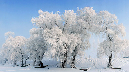 雪乡旅游几月份去合适？怎么玩？年雪乡门票