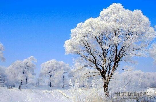 雾凇岛值得去吗？看看雾凇岛旅游攻略，你就全明白啦！