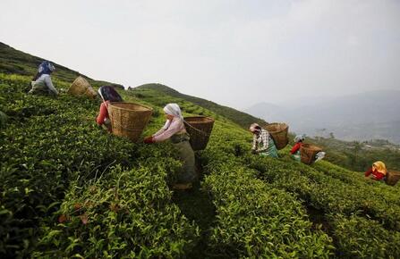 尼泊尔伴手礼有哪些？以下六种伴手礼了解一下吧！