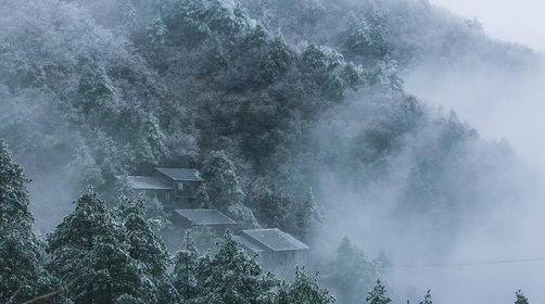 又到了冬季滑雪的时候了，一起来了解一下大明山滑雪攻略吧