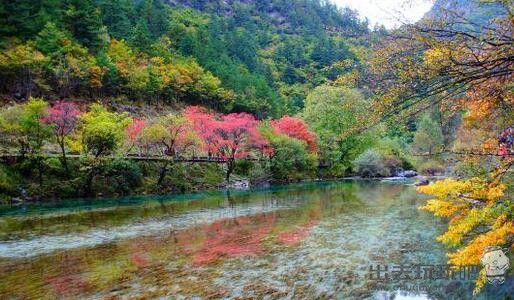 你知道九寨沟几个著名景点是哪些吗？九寨沟旅游景点推荐给您！