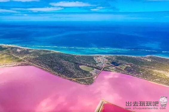 西澳旅游攻略之粉红湖打卡，燃爆你的少女心~