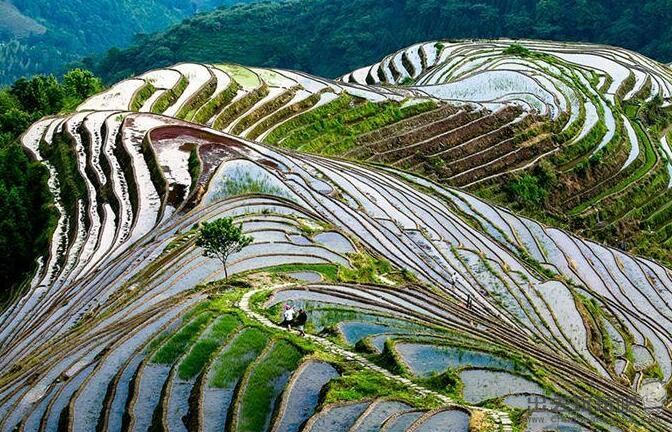 龙脊梯田旅游攻略（龙脊梯田在哪里？龙脊梯田旅游景点+龙脊梯田住宿攻略+龙脊梯田门票多少钱？）