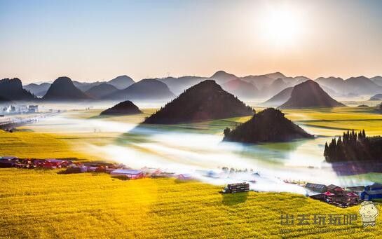 罗平油菜花在哪里？门票多少钱？罗平油菜花开花时间+住宿推荐+最佳旅游时间_罗平油菜花赏花攻略