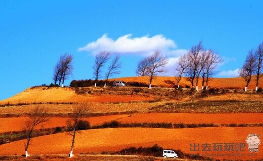 东川红土地值得去吗？东川红土地在哪里？门票多少钱？东川红土地最佳旅游时间_东川红土地旅游攻略