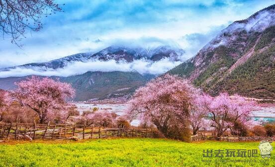 林芝旅游攻略（林芝桃花节2021开幕时间+林芝旅游景点大全+林芝自由行攻略路线+林芝特产美食）