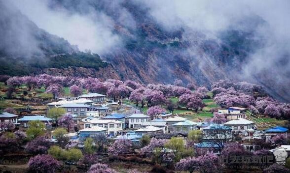 林芝旅游攻略（林芝桃花节2021开幕时间+林芝旅游景点大全+林芝自由行攻略路线+林芝特产美食）