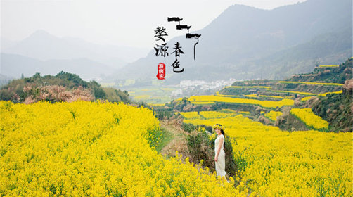 婺源油菜花开花时间-婺源油菜花目的地推荐-婺源门票怎么买好？