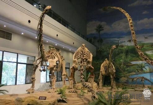 自贡恐龙博物馆半日游旅游攻略