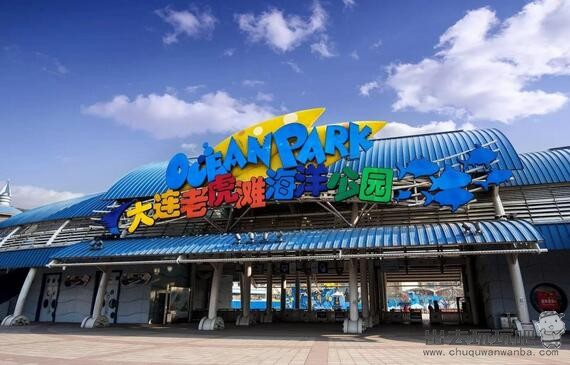 大连老虎滩海洋公园半日游旅游攻略