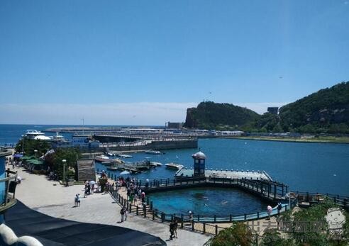 大连老虎滩海洋公园半日游旅游攻略