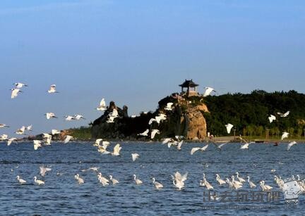 河北秦皇岛鸽子窝公园半日游旅游攻略