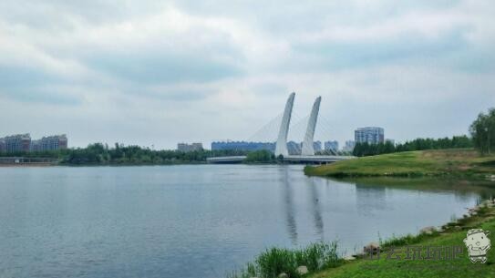 龙子湖风景区好玩吗？龙子湖风景区在哪里？龙子湖风景区门票价格开放时间