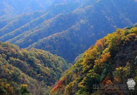 秦岭自驾游怎么玩？秦岭自驾游哪里风景好？秦岭旅游最佳季节_秦岭自驾游线路_秦岭自驾游注意事项