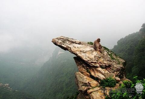 江苏连云港花果山一日游旅游攻略