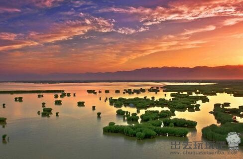 宁夏沙湖一日游旅游攻略