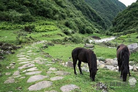 茶马古道好玩吗？茶马古道在哪里？茶马古道门票价格开放时间