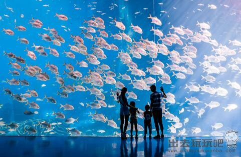 广东珠海长隆海洋王国一日游旅游攻略