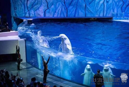 广东珠海长隆海洋王国一日游旅游攻略