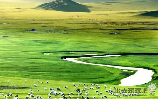 内蒙古陈巴尔虎旗呼伦贝尔大草原一日游旅游攻略