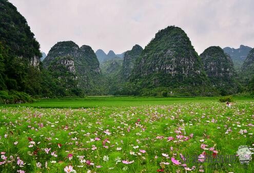 贵州黔西南兴义万峰林半日游旅游攻略