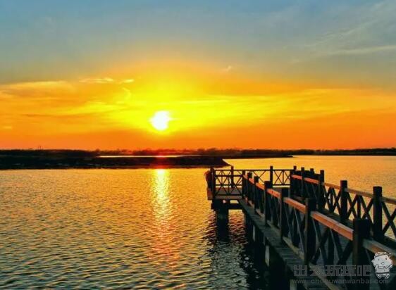 山东东营黄河入海口湿地公园一日游旅游攻略