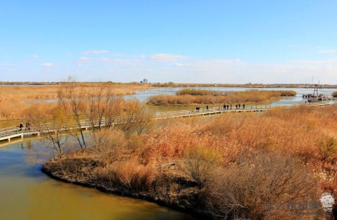山东东营黄河入海口湿地公园一日游旅游攻略