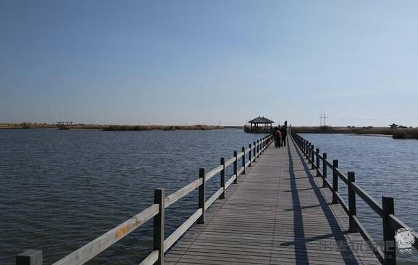 山东东营黄河入海口湿地公园一日游旅游攻略
