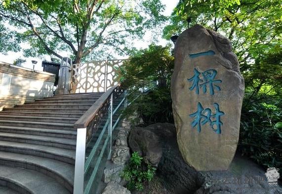 重庆南山一棵树景区半日游旅游攻略