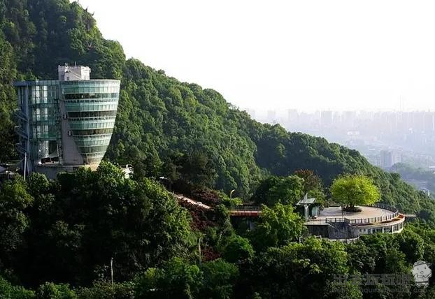 重庆南山一棵树景区半日游旅游攻略