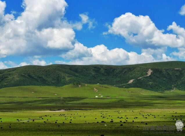 甘南最佳景点推荐,甘南旅游攻略