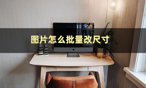 证件照人像比例怎么调？证件照人像过大怎么调