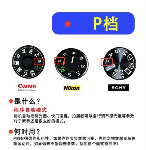 单反里有什么档？单反一般用什么档位