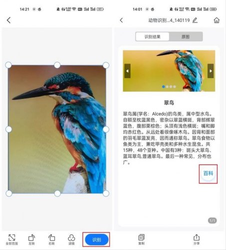 拍动物照的软件是什么-可以和动物对话的软件是什么软件