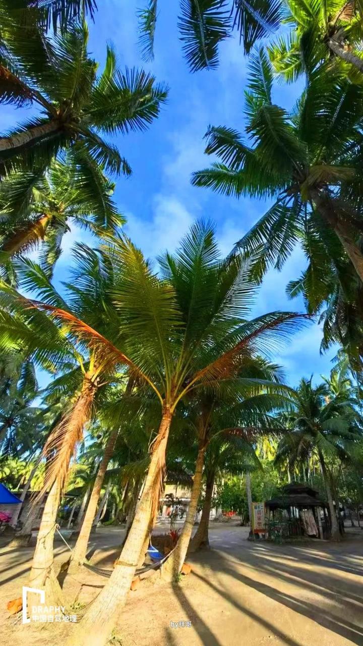 不一样的海南环岛自驾攻略!带你发现更多冷门且值得去的好地方