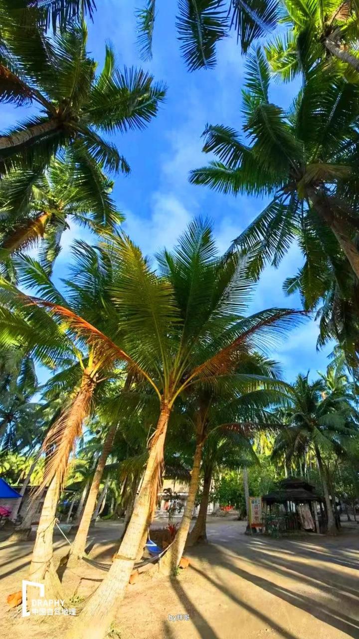 不一样的海南环岛自驾攻略！带你发现更多冷门且值得去的好地方