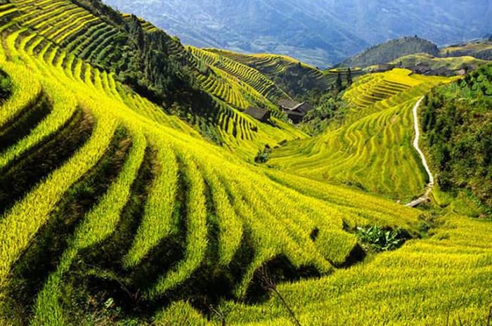 桂林最全旅游攻略推荐-桂林4天3晚自由行旅游攻略
