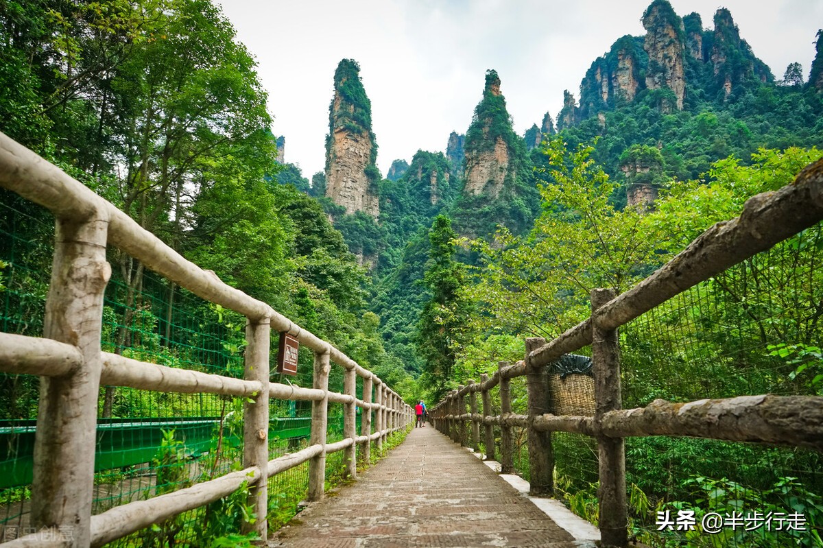 湖南张家界旅游攻略自由行攻略(张家界必去的三个景点)