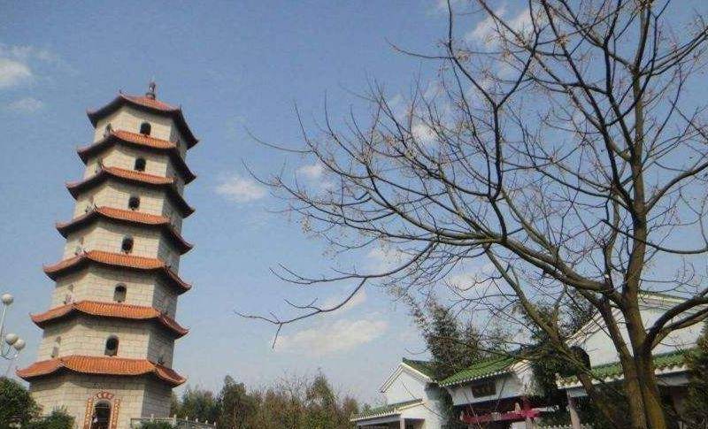 温州最低调的公园，免费开放少有人知